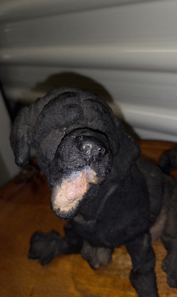 A Breed Apart 70206 Black Lab Puppy 2003